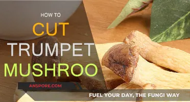 The Art of Cutting Trumpet Mushrooms