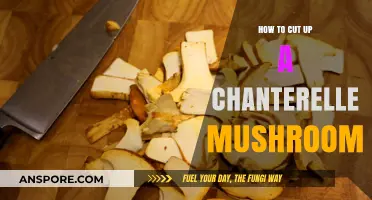 Mastering the Art of Cutting Chanterelle Mushrooms: A Step-by-Step Guide