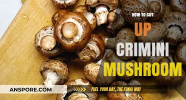 Mastering Crimini Mushroom Prep: Easy Cutting Techniques for Perfect Slices
