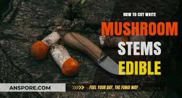 Edible White Mushroom Stems: Simple Cutting Tips for Perfect Prep