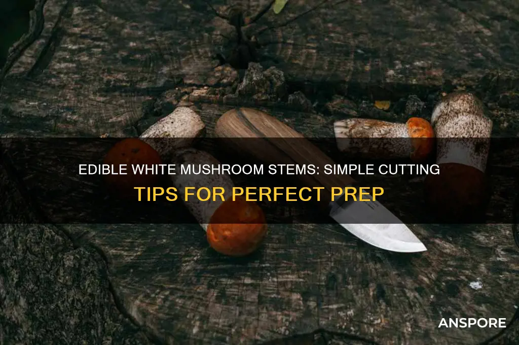 how to cut white mushroom stems edible