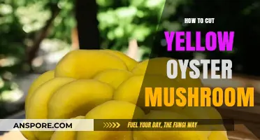 Perfectly Slicing Yellow Oyster Mushrooms: A Step-by-Step Guide