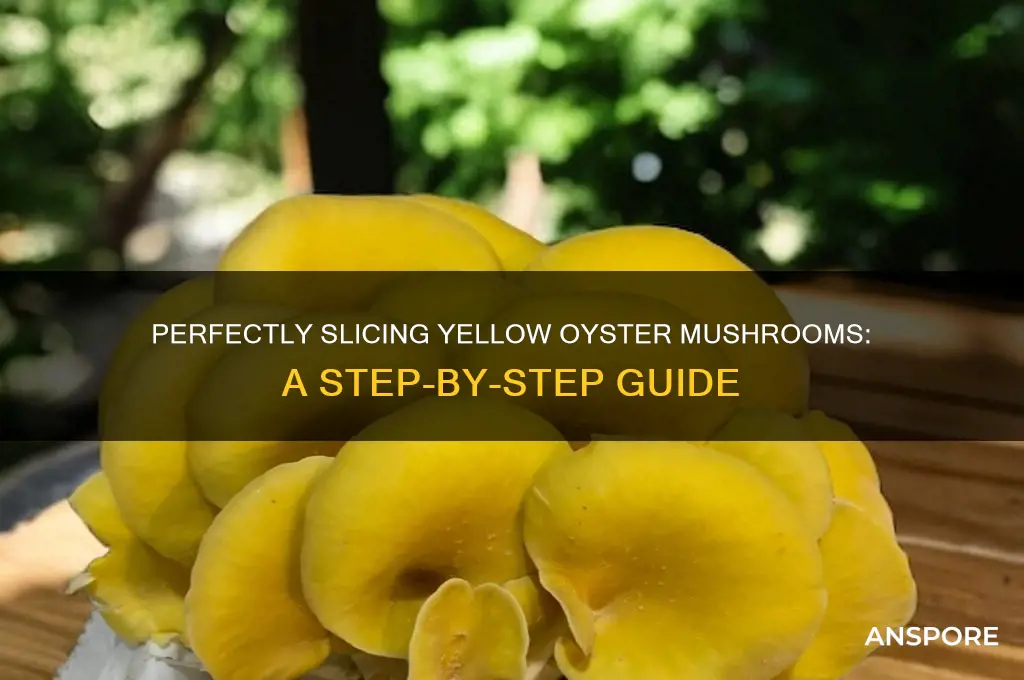 how to cut yellow oyster mushrooms