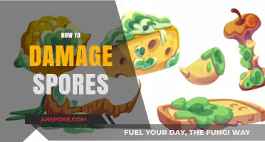 Effective Methods to Destroy Spores and Prevent Their Spread