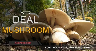 Dealing with Mushrooms: A Step-by-Step Guide