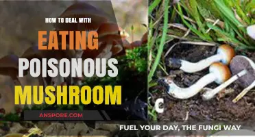 Surviving a Mushroom Mishap: Quick Steps to Handle Poisonous Consumption
