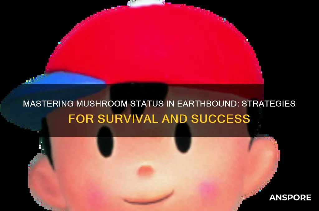 how to deal with mushroom status earthbound
