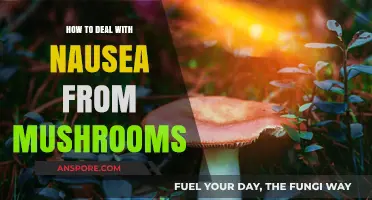 Effective Ways to Relieve Mushroom-Induced Nausea and Feel Better Fast