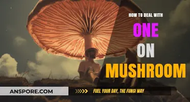 Navigating a Mushroom Trip: Supportive Strategies for a Safe Experience