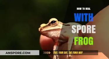 Effective Strategies for Managing and Caring for Spore Frogs