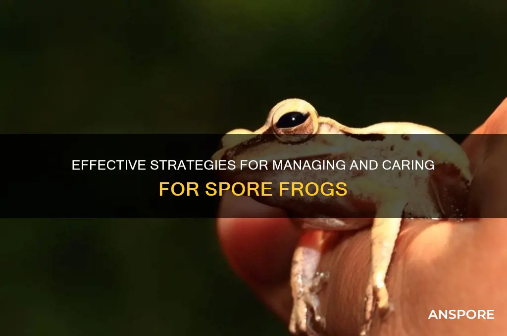 how to deal with spore frog