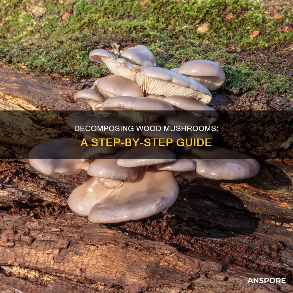 how to decompose wood mushrooms