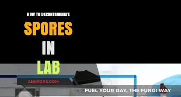 Effective Lab Decontamination: Safely Eliminating Spores in Research Environments