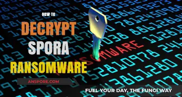 Decrypting Spora Ransomware: A Comprehensive Guide to Recovery and Prevention