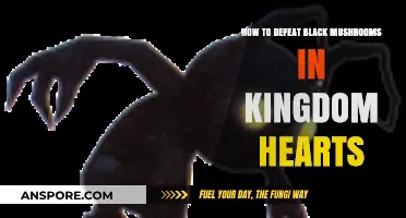 Mastering Kingdom Hearts: Strategies to Vanquish Black Mushrooms Effectively