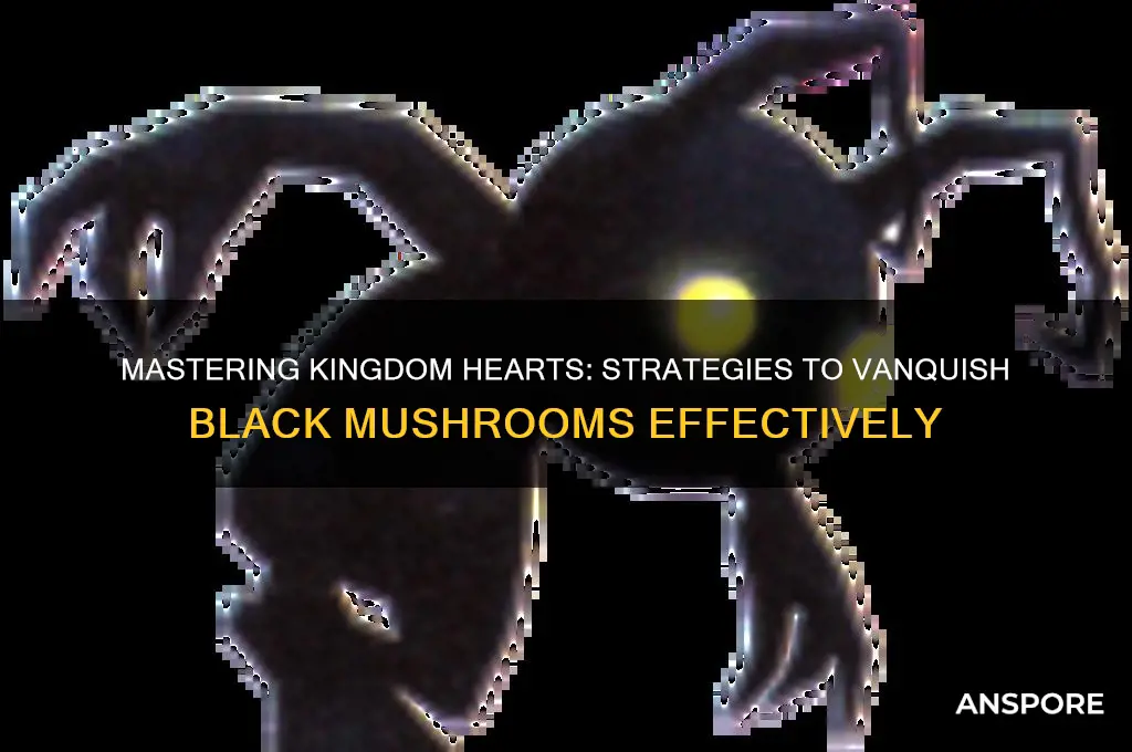 how to defeat black mushrooms in kingdom hearts