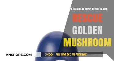 Mastering Mario: Defeating Buzzy Beetle to Rescue the Golden Mushroom