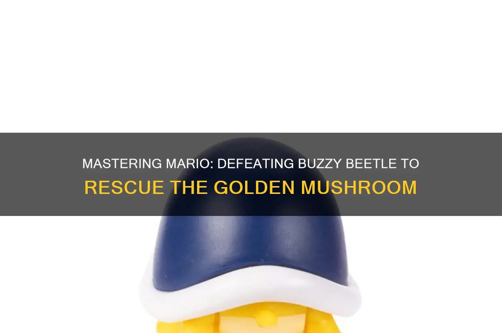 how to defeat buzzy beetle mario rescue golden mushroom