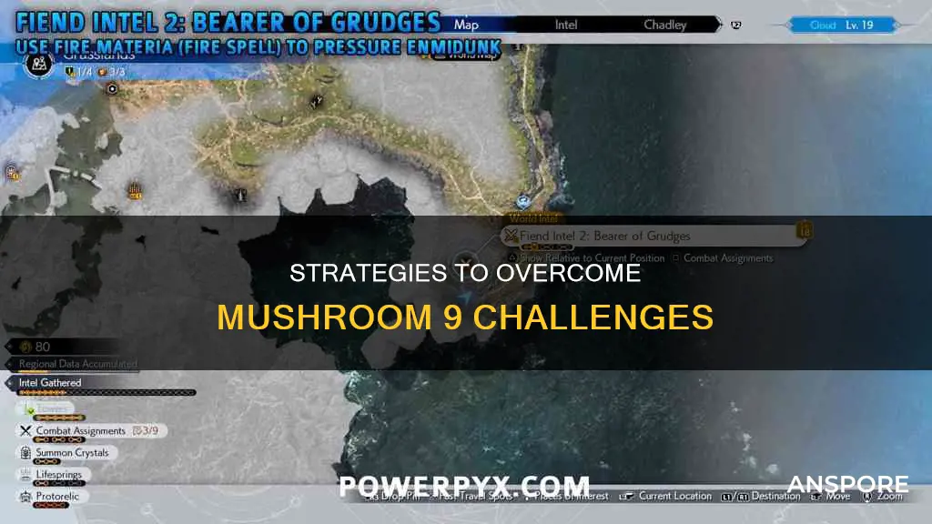 how to defeat mushroom 9