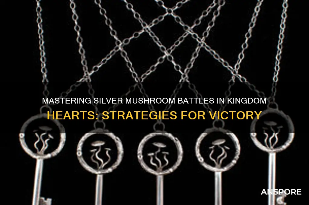 how to defeat silver mushrooms in kingdom hearts