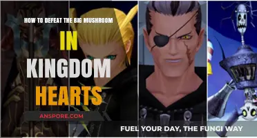 Conquer the Big Mushroom: Kingdom Hearts Boss Battle Strategies