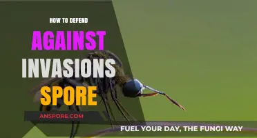 Effective Strategies to Defend Against Invasive Spore Threats and Protect Your Space