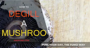 The Secret to Degilling Mushrooms: An Easy Guide