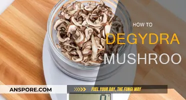 Dehydrating Mushrooms: A Step-by-Step Guide