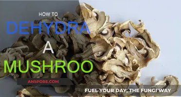 Dehydrating Mushrooms: A Step-by-Step Guide to Success