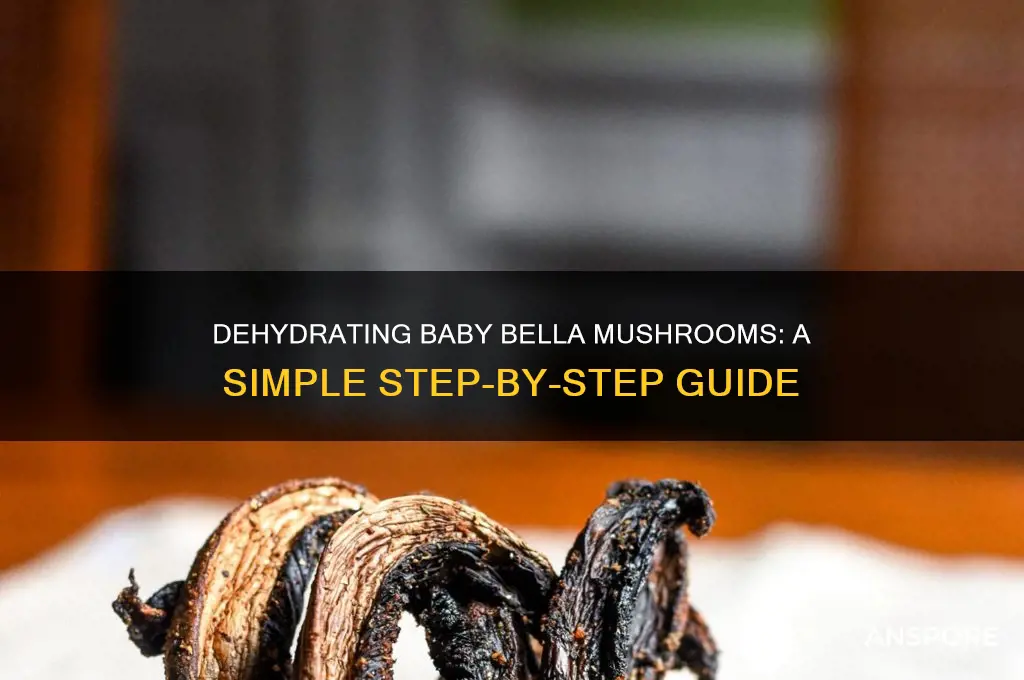 how to dehydrate baby bella mushrooms