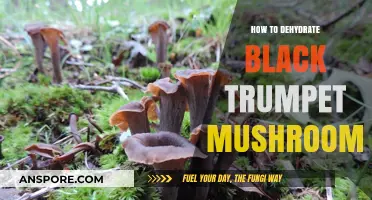 Mastering Dehydration: A Guide to Preserving Black Trumpet Mushrooms