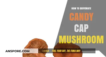 Dehydrating Candy Cap Mushrooms: A Sweet and Simple Preservation Guide