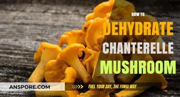 Dehydrating Chanterelle Mushrooms: A Step-by-Step Guide