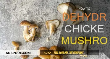 Dehydrating Chicken Mushrooms: A Step-by-Step Guide