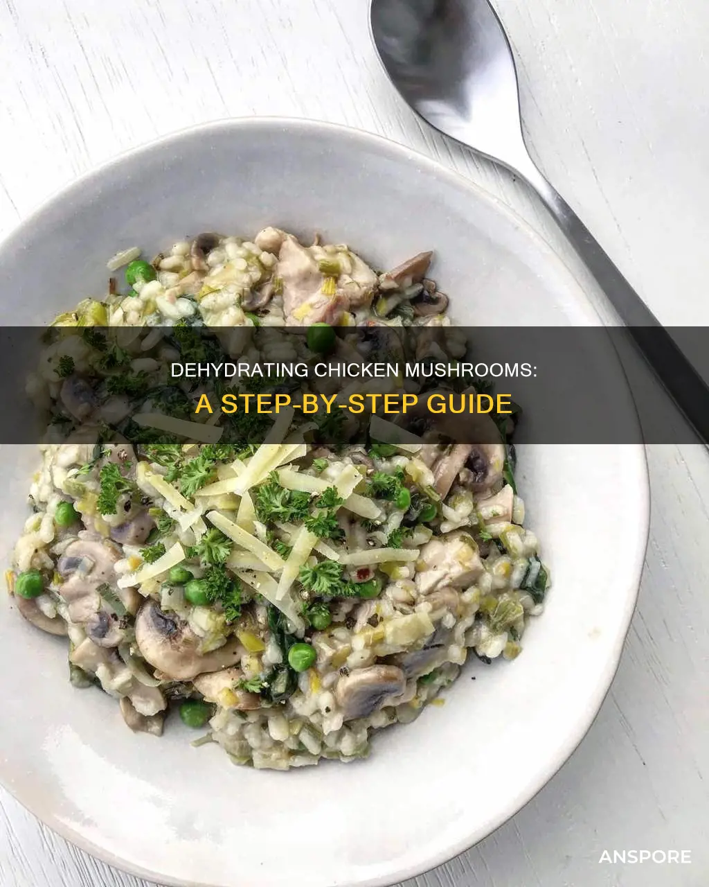 how to dehydrate chicken mushrooms