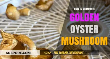Dehydrating Golden Oyster Mushrooms: A Simple Preservation Guide