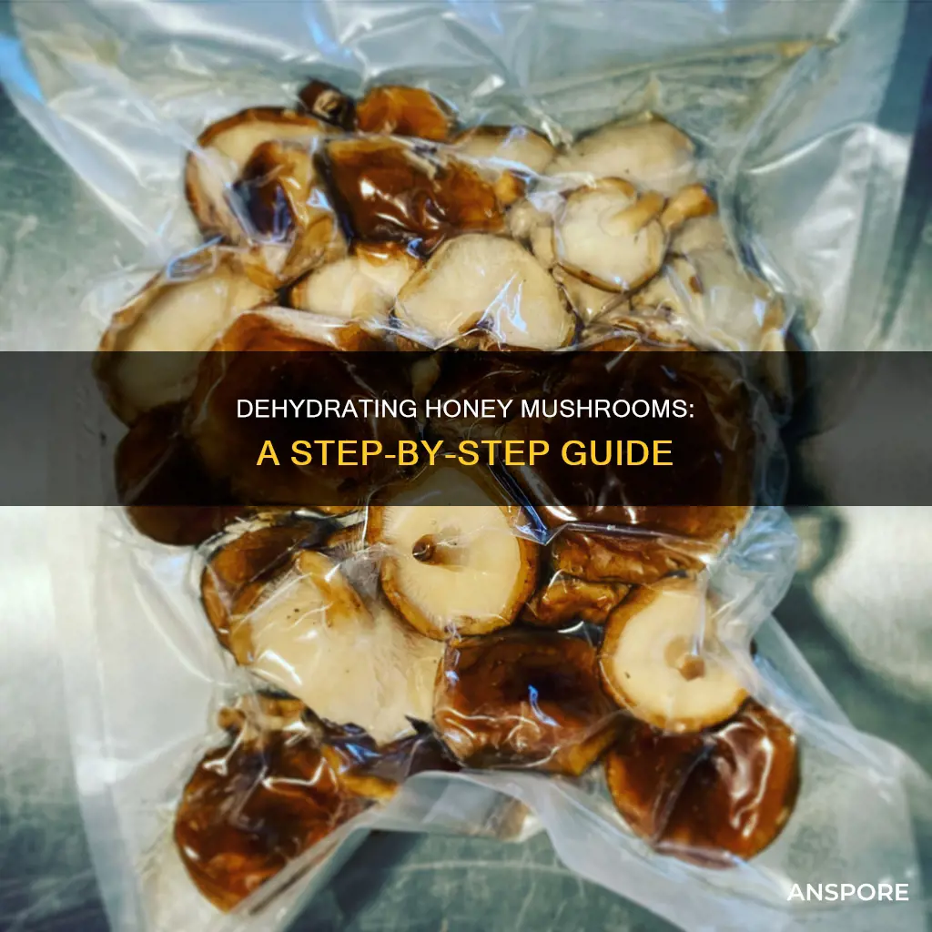 how to dehydrate honey mushrooms