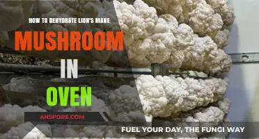 Oven-Drying Lion's Mane Mushrooms: A Simple Dehydration Guide