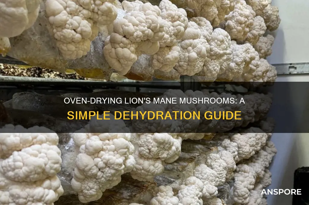 how to dehydrate lion