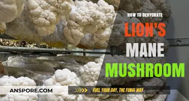 Mastering Dehydration: A Guide to Preserving Lion's Mane Mushrooms