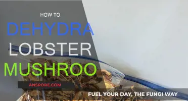 Dehydrating Lobster Mushrooms: A Step-by-Step Guide