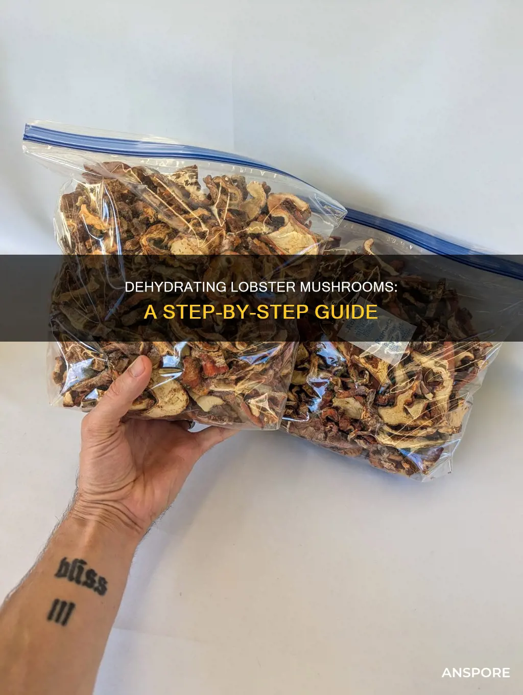 how to dehydrate lobster mushrooms