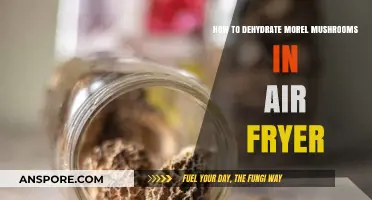 Air Fryer Dehydrating: Preserving Morel Mushrooms for Year-Round Enjoyment