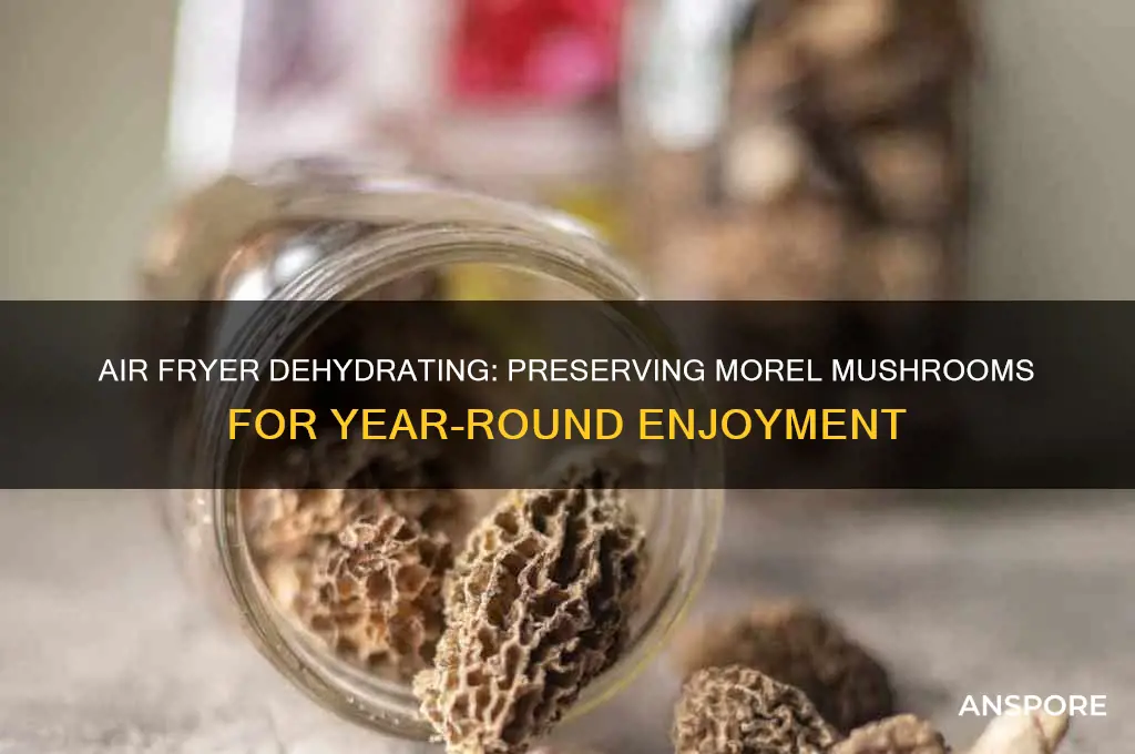 how to dehydrate morel mushrooms in air fryer