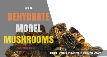Mastering Morel Dehydration: A Step-by-Step Guide to Preserving Flavor