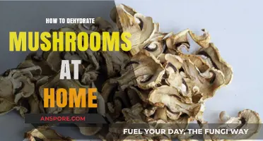 Easy Homemade Mushroom Dehydration: A Step-by-Step Guide for Beginners