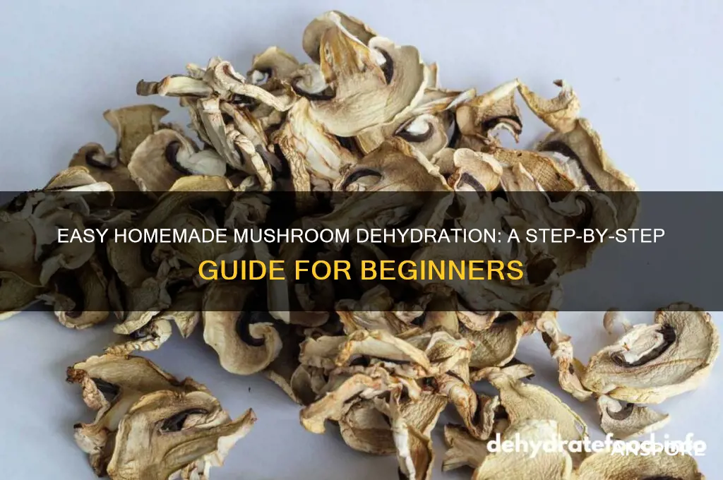 how to dehydrate mushrooms at home