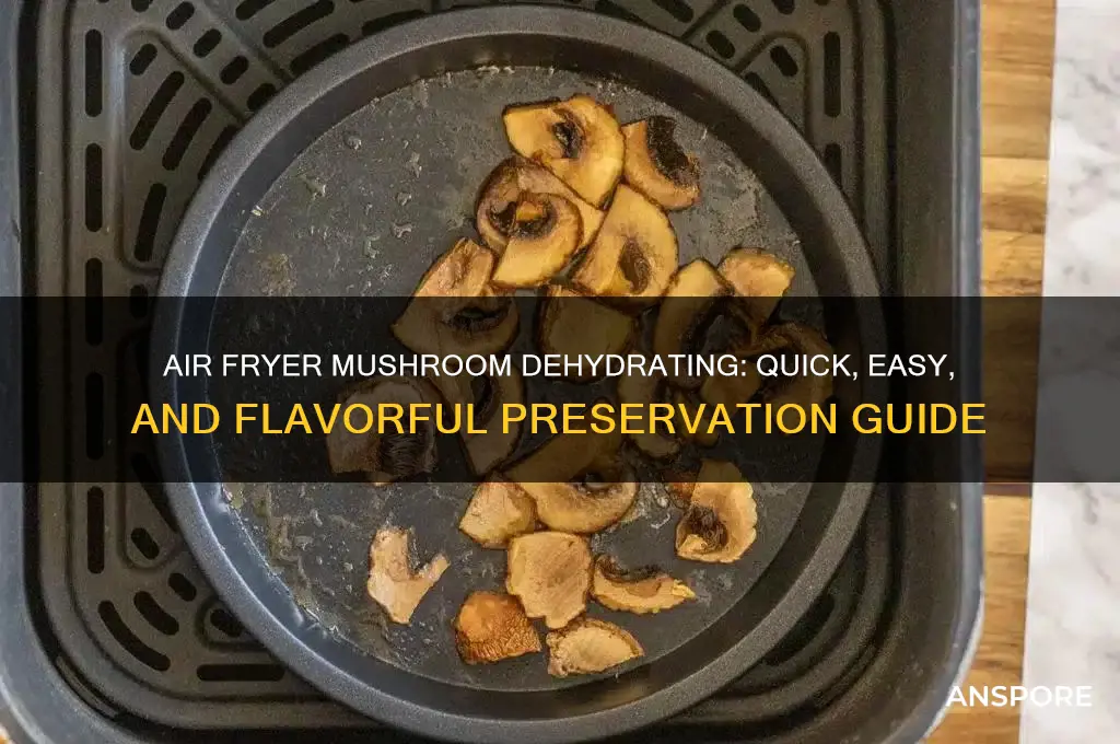 how to dehydrate mushrooms in air fryer
