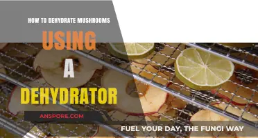 Dehydrating Mushrooms Made Easy: A Dehydrator Guide for Perfect Results