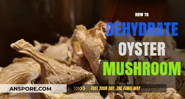Dehydrating Oyster Mushrooms: A Step-by-Step Guide